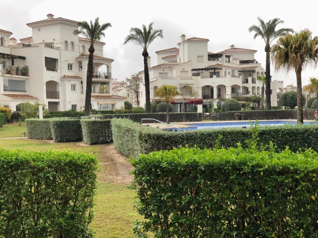 Villa Life . Precioso Bajo Frente Piscina 苏兹纳 外观 照片