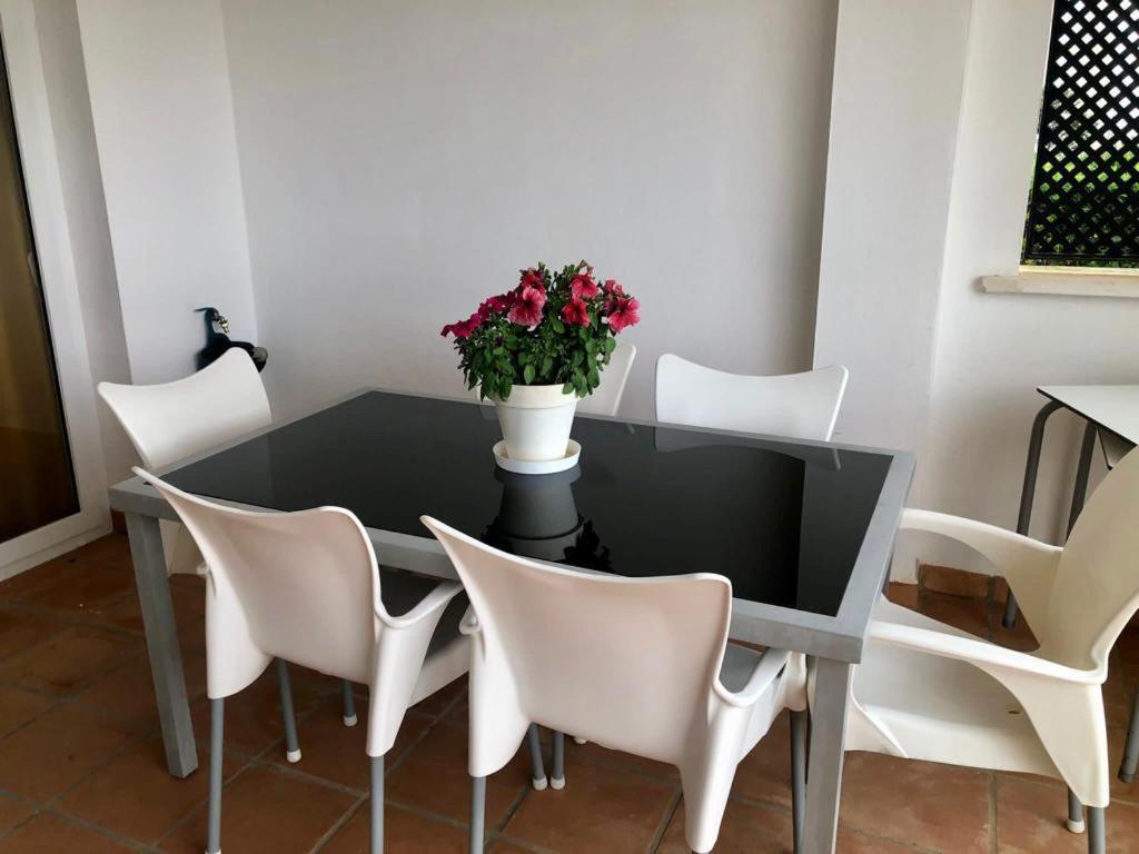 Villa Life . Precioso Bajo Frente Piscina 苏兹纳 外观 照片